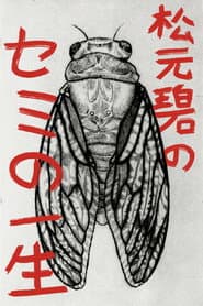 松元碧のセミの一生