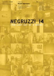 Negruzzi 14