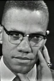 The Negro and the American Promise