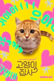 Our Cat