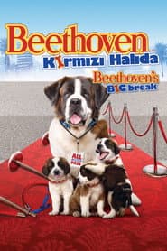 Beethoven's Big Break