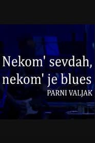 To Some It Is Sevdah, to Some It Is Blues