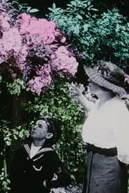 Flowers in the Garden