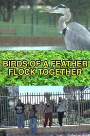 Birds of a Feather Flock Together