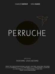 Perruche