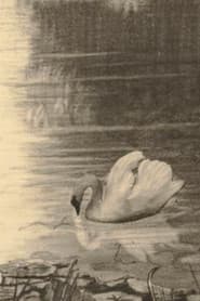 The Ugly Duckling