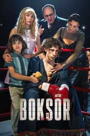 Boxer