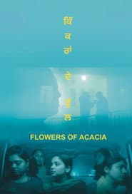 Flowers of Acacia