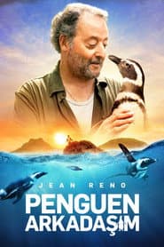 My Penguin Friend