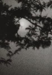 Moonplay