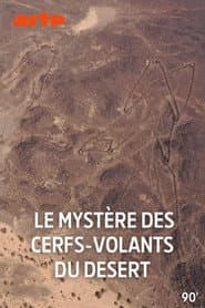 Le mystère des cerfs-volants du désert