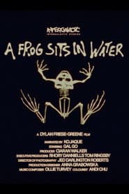 A Frog Sits In Water