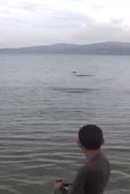 Children’s Game #2: Ricochets