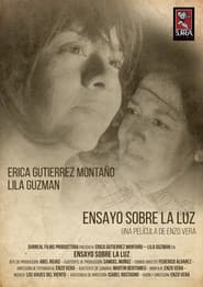 Ensayo Sobre la Luz