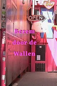 Bezem door de wallen