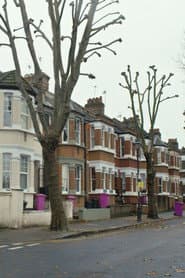 And They Live in Row Houses