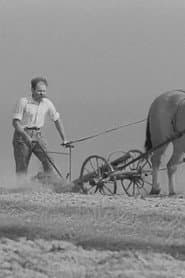 The Independent Peasant
