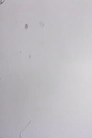 One Frame Duration