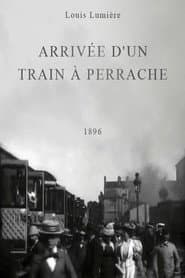 Arrival of a Train at Perrache
