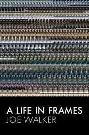A Life in Frames — Joe Walker