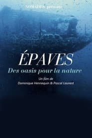 Épaves, des oasis pour la nature