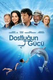 Dolphin Tale