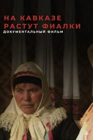 Violets Blossom in the Caucasus