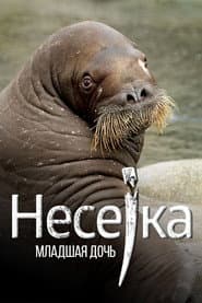 Neseyka: The Youngest Daughter