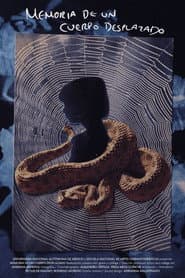 Memory of a Displaced Body