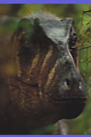 Paleontology Club Promo