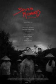 Seven Monkeys