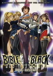 バイブルブラック：新約聖書