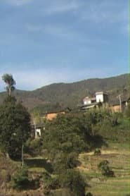 Huamulin 2012