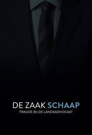 De Zaak Schaap: fraude bij de landsadvocaat