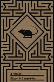 The Mouse