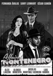 The Montenegro Affair