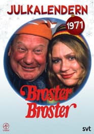 Broster broster