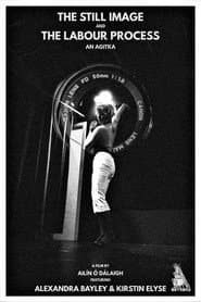 The Still Image and the Labour Process: An Agitka