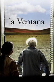 The Window