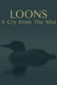 Loons: A Cry from the Mist