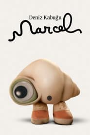 Marcel the Shell with Shoes On