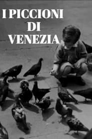 I piccioni di Venezia