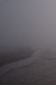 Niebla