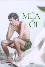 The Guava House