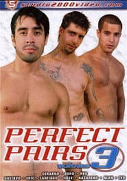 Perfect Pairs 3