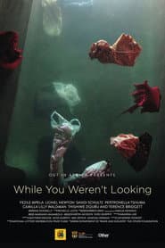While You Weren't Looking