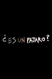 Es Un Pajaro