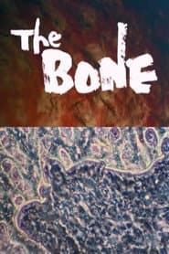 THE BONE