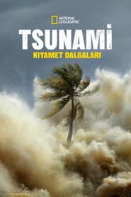 Tsunami: Race Against Time