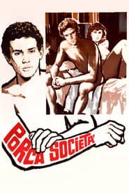 Porca società